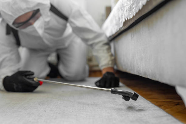 Professional Termite Control technician working in Oconto, WI