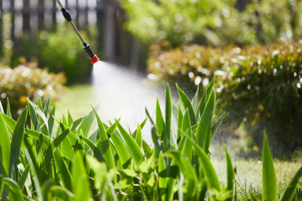 24/7 Emergency Termite Control experts in Oconto, WI