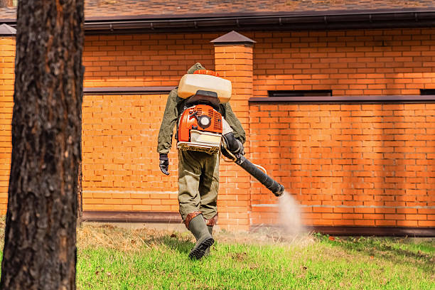 Trusted Termite Control service in Oconto, WI - Nex Pest Control